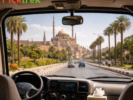 picktrek tour by coaster 3