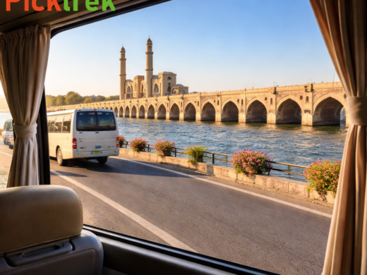 picktrek tour by coaster 5