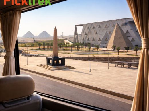 picktreks tour by coaster