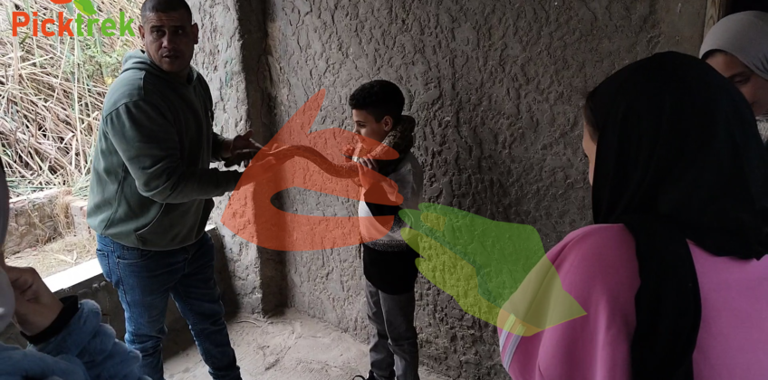 video_٢٠٢٦٠٣٢١_١٢٠٨٥٩(21)